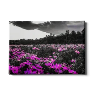 Destination - Purple Fields