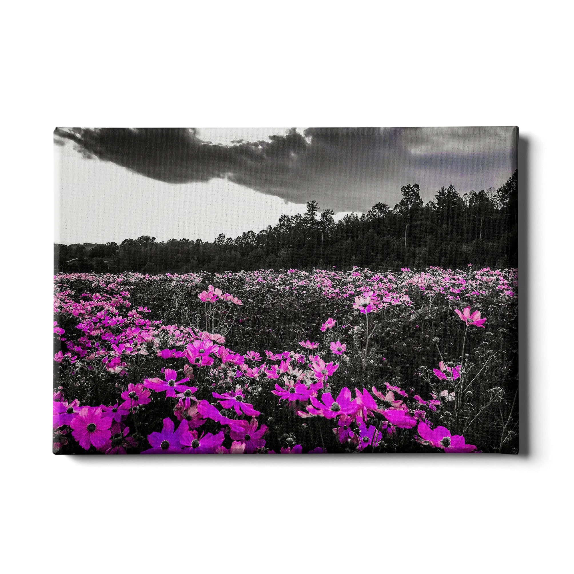 Destination - Purple Fields