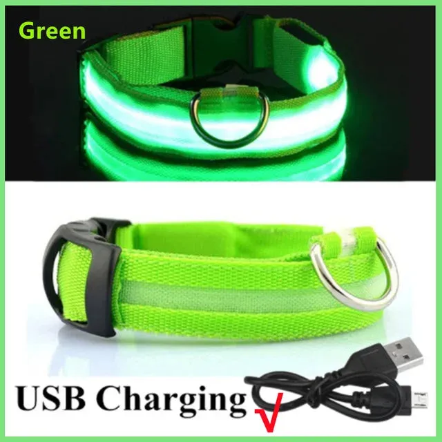 LED Glowing Adjustable  Safety Dog Collar