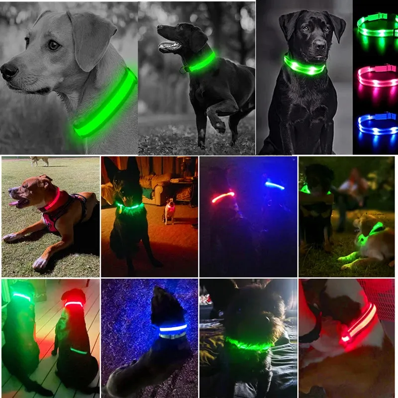 LED Glowing Adjustable  Safety Dog Collar