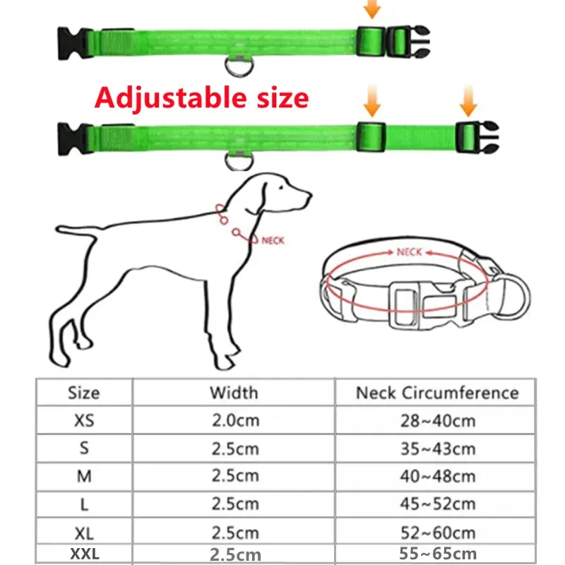 LED Glowing Adjustable  Safety Dog Collar