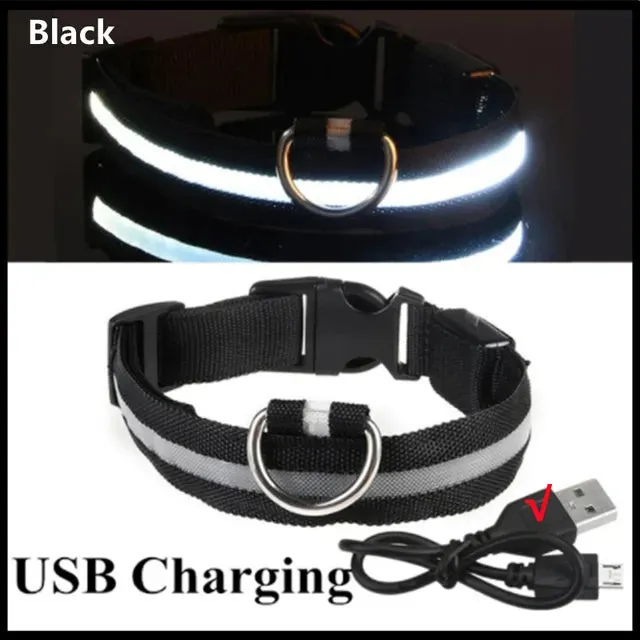 LED Glowing Adjustable  Safety Dog Collar