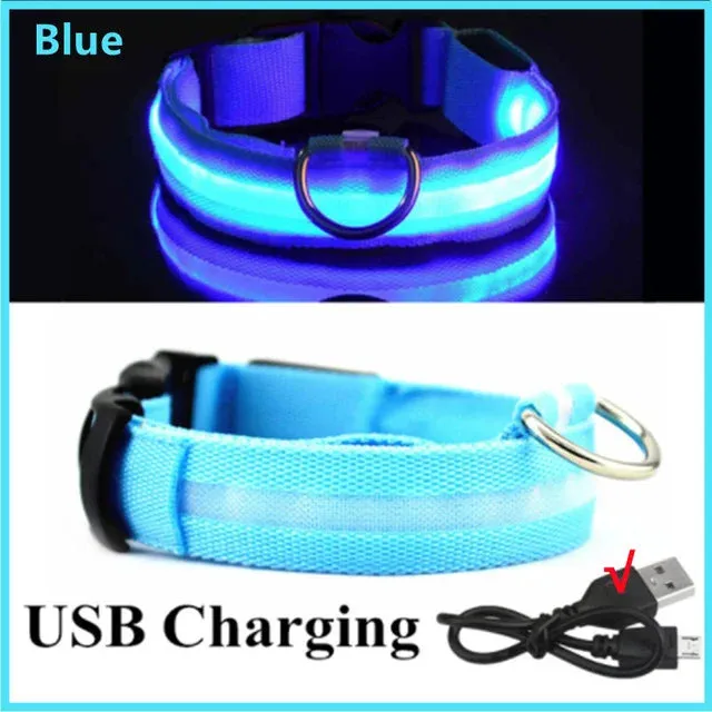 LED Glowing Adjustable  Safety Dog Collar